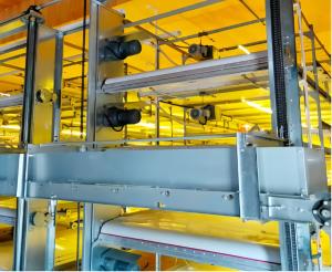 Wholesale Plastic Broiler Poultry Equipment Full Automatic Broiler Pan Feeder Customized from china suppliers