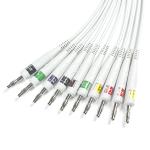 Compatible GE ECG Diagnostic Cable 10Lead IEC Banana for GE AM4,AM5, CASE 12
