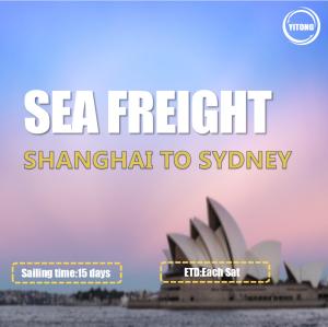 Wholesale WIFFA China To Australia Sea Freight Services From Shanghai To Sydney Each Sat from china suppliers