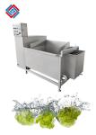 3.35KW Commercial Fruit And Vegetables Washing Machine 800KG/H With 330L Washing