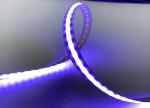 Standard RGBW Dotless Flexible COB LED Strip Light 4-In-1 24V DC