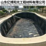 300 Micron 500 Micron 750 Micron Waterproof HDPE Geomembrane Pond Liner