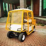 Steel Frame 2 Seater Golf Cart New Energy Vehicles ODM 1 Years Warranty Lithium