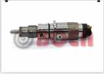 Original BOSCH Common Rail Injector 0445120066 20798114 04289311 04290986