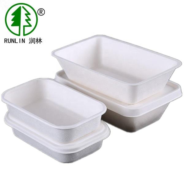 Eco Friendly Lunch Bagasse Pulp Biodegradable Takeaway Food Containers For