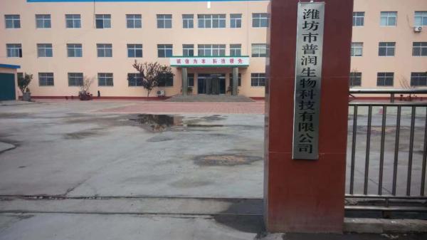 Hysicochemical Protein 70 Percent Plasma Protein Powder Raw Materials For Fish