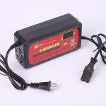 Overvoltage Protection 20AH Dry Battery Charger for Electric Tricycle Battery