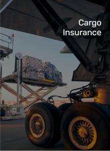 China International Cargo Insurance Service  timely Security protocols on sale