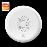 Plastic Cover Smart Alarm Smoke Zigbee Detector Tuya App Control Household