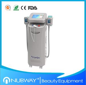 Wholesale Best Price for Two handles Cryolipolysis slimming machine for weight losing for spa use from china suppliers