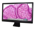 Smart Digital HDMI Tablet Microscope Camera Under 600g Weight 1920*1080