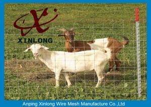 Corrosion Resistance Welded Wire Livestock Panels With ISO9001 / 2008 Certificate