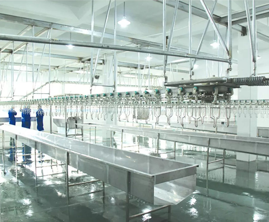 Customizable Poultry Slaughtering Line 200KG Stainless Steel Poultry Processing Line
