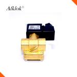 Two Position Solenoid Water Valve Brass Material 0927 Two Way Pilot Diaphragm