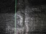 Home Use PE PP Woven Garden Ground Cover Fabric / Weed Mat , Black
