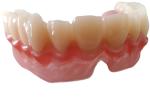 Realistic Digital Data OEM 3D Printed Dental Models For Dentist Study