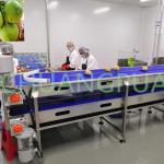 Custom Coconut Processing Machine 35-120kw 304 Stainless Steel