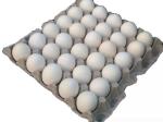 500-600 pcs/h Paper Egg Tray Making Machienry (FC-ZMW-2)