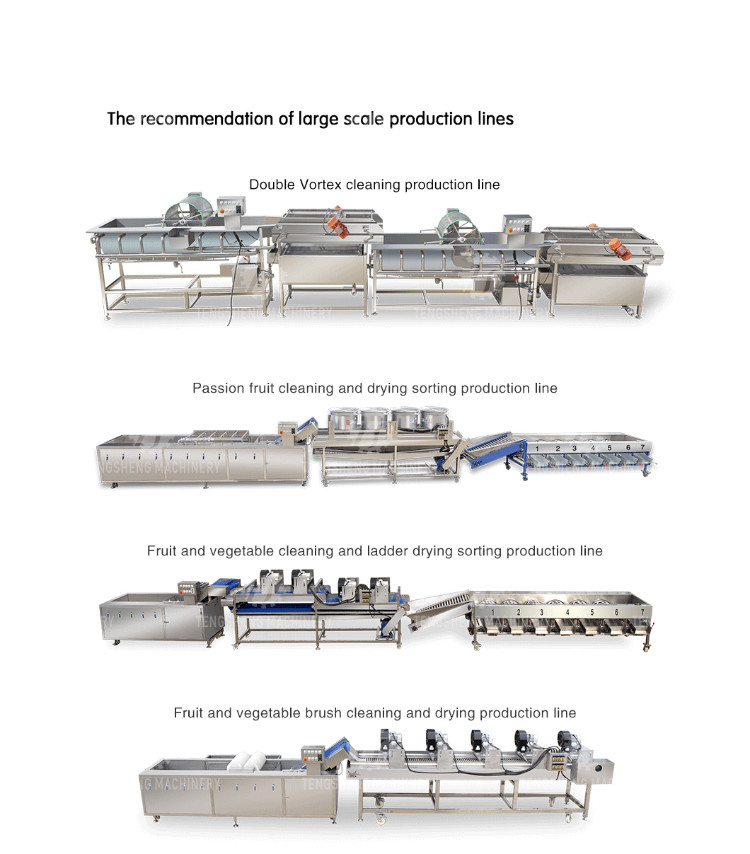 2.6KW Fruit and vegetable cleaning and processing equipment automatic washing machine conveyor belt bubble cleaning