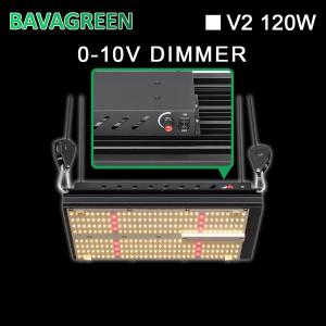 Wholesale Deep Red 120W LM301B Quantum Board 660nm SAMSUNG Horticulture Grow Lights from china suppliers