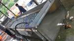 Fully Automatic Seafood Bubble Cleaning Machine Food Cleaning Processing Line