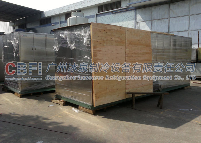 Middle east popular hot sale Ice Cube Machine Germany compressor
