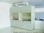 Rustproof Ducted Laboratory Fume Hood Cupboard Durable All Steel Material