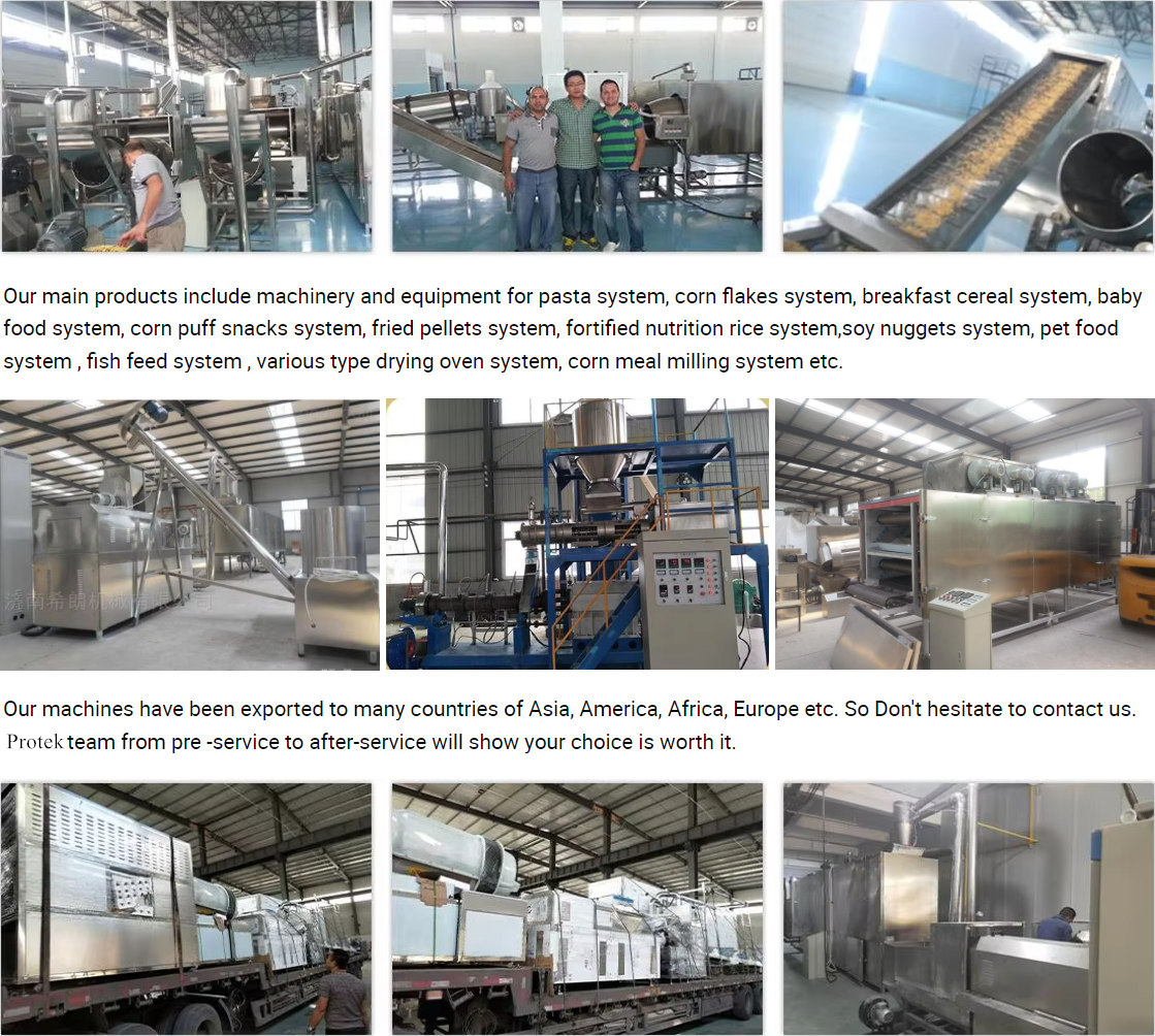 Fortified Rice Kernel Making Machine Frk Nutritional Instant Artificial Rice Processing Maker Line 2 Tons Per Hour