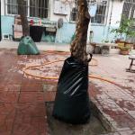 Other Watering Irrigation 3 Packs PE Tree Watering Bags 75L UV Green Bags