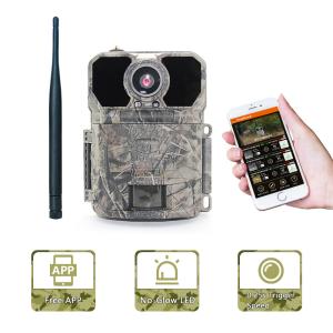 Wholesale Keepguard KG895APP Wireless 4G Cellular Game Camera 9v Power Supply from china suppliers