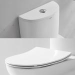 Dual Flush Elongated One Piece Toilet 1.3Gpf Modern Ceramic Material
