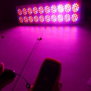 Wholesale Cidly A20 730W Powerful full spectrum hydroponics Light Led Indoor grow lamps hydroponics from china suppliers