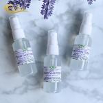 Kill 99% Germ Disinfectant MSDS Mist Spray Hand Sanitizer For Home Office