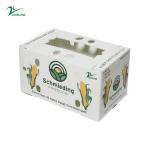 Corruone Waterproof Folding Polypropylene Corrugated Plastic Fruits Vegetables