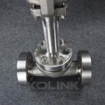 Cryogenic Forged Steel Gate Valve, Extended Bonnet Low Temperature Valve, LNG