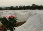 Agricultural Nonwoven Fabric PP / SMS Nonwoven Factory, Customized Width, GSM,