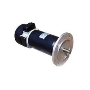 Wholesale 24V PMDC IE 1 Planetary Gearbox Gear Motor For Golf from china suppliers