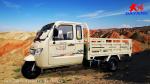 800cc Popular Model Three Wheel Cargo Tricycle Max Champagne Body for Well Sell