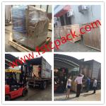 Automatic gloves packaging machine , gloves wrapping machine