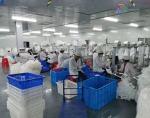 Manufacturer In Stock KN95 Protective Mask,N95 Face Mask,EN149:2001+A1:2009 FFP2