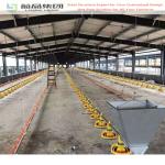 Hot Sale Prefabricated Light Structure Structure Prefab Poultry House Design