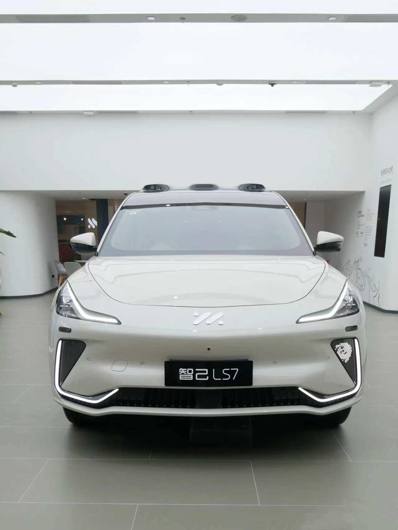 5 Door 5 Seats Zhiji LS7 Elite RWD 20 Inches Tires SUV Ev Car Electric Rechargeable Battery NEDC Range 602km High Speed 200km/h