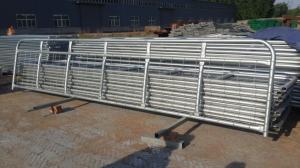 Wholesale 12ft General Purpose Farm Gate Cattle Horse Sheep Yard Panels Victoria &quot; from china suppliers