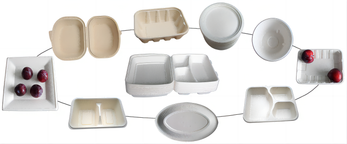 Sustainable Tableware Sugarcane Automated Pulp Molding Machine