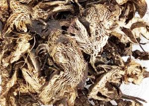 Wholesale Light Grey Brown Color Black Cohosh Root Crude Type Sliced Or Whole Shape from china suppliers