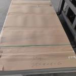 Low Carbon 316L Stainless Steel Sheets EN 1.4404 SS Sheets AISI316L/ SUS316L