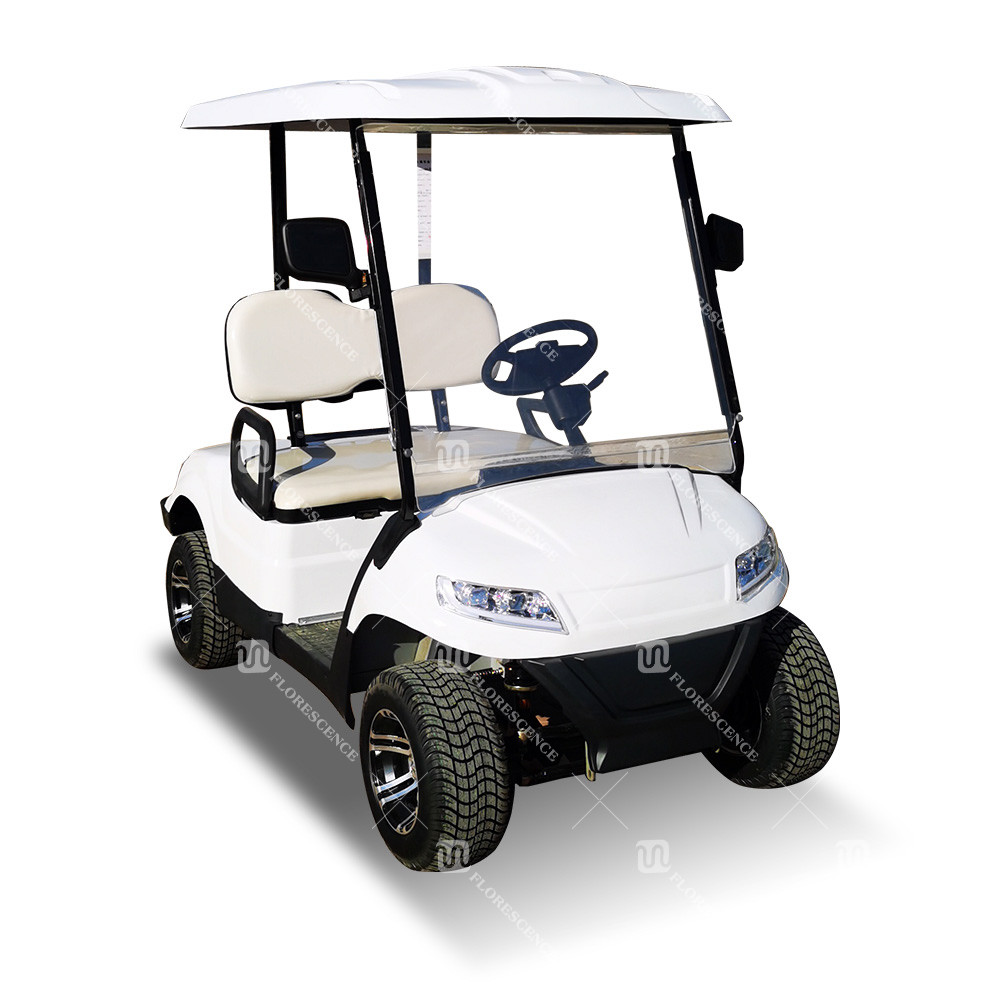 Electric 2 Seater Golf Cart NEA LSV Vehicle High Performance Lithium Battery ODM OEM China Supplier