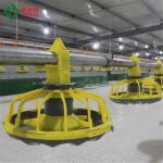Waterproof Automatic Poultry Farm Equipment Chicken House Feeders Drinkers