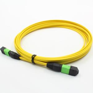 Wholesale 12 Core Single Mode MPO Patch Cable 2m For Machine Room from china suppliers