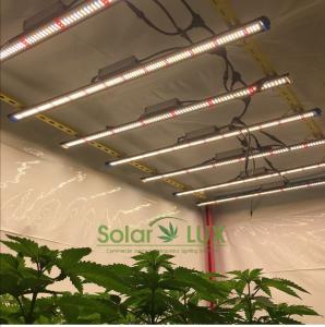 Wholesale UL8800 Full Spectrum LED Grow Lights 90Watt Horticultural Lighting from china suppliers